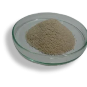 Ferrous Glycine Sulfate Product